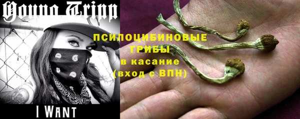 ALPHA PVP Баксан