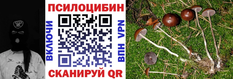 Галлюциногенные грибы Psilocybine cubensis Пестово